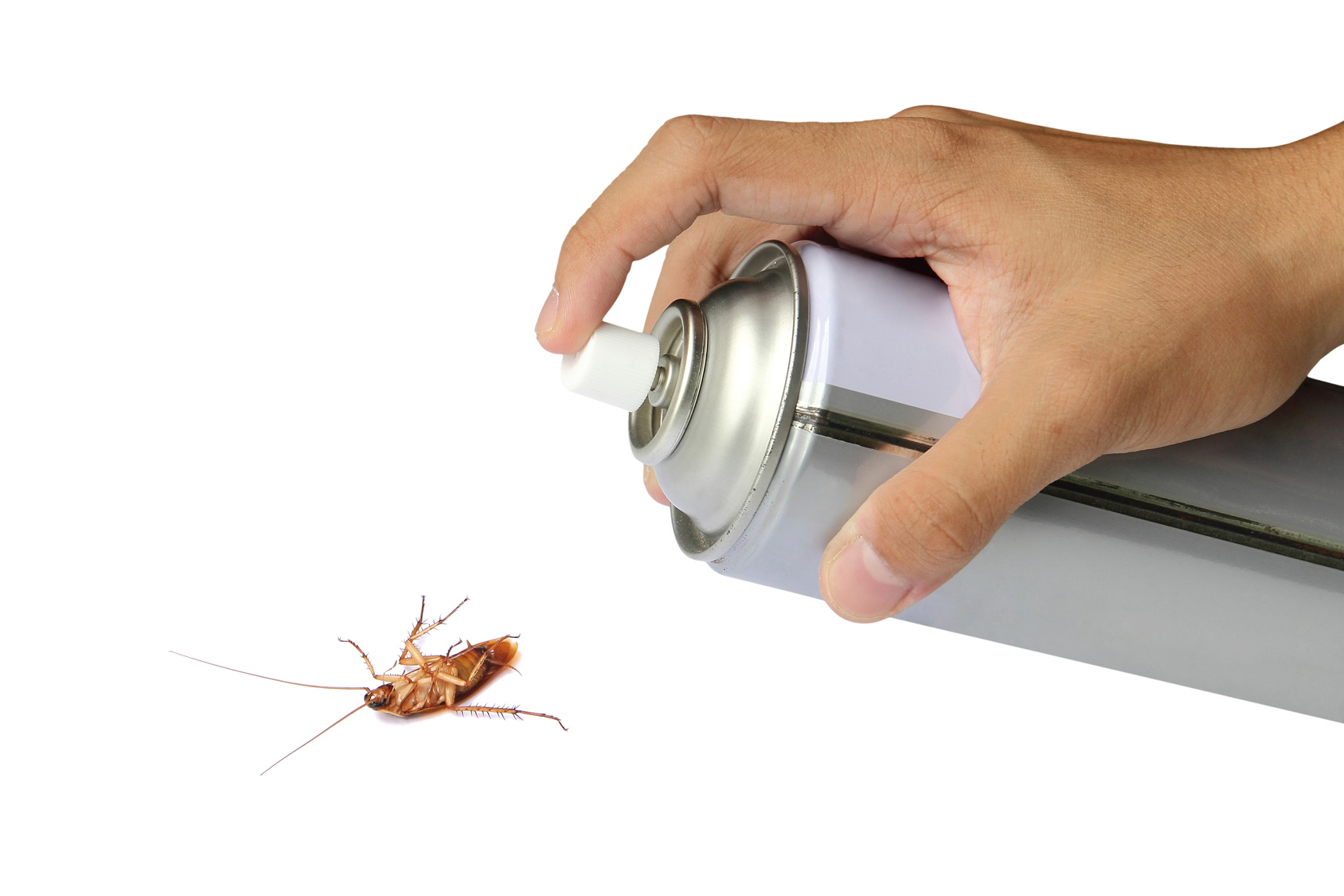 Как избавиться от тараканов в квартире?
